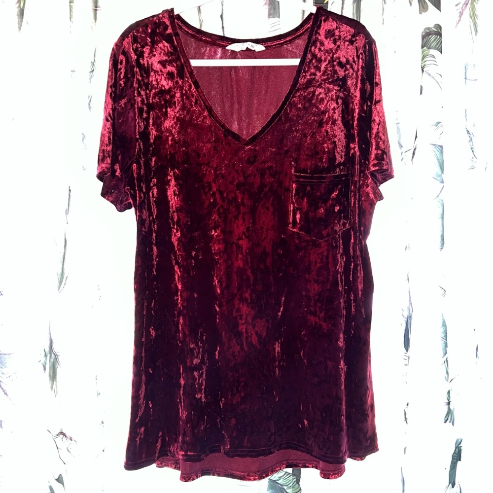 EUC Women’s Crushed Velvet Tunic